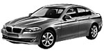 BMW F10 P3159 Fault Code